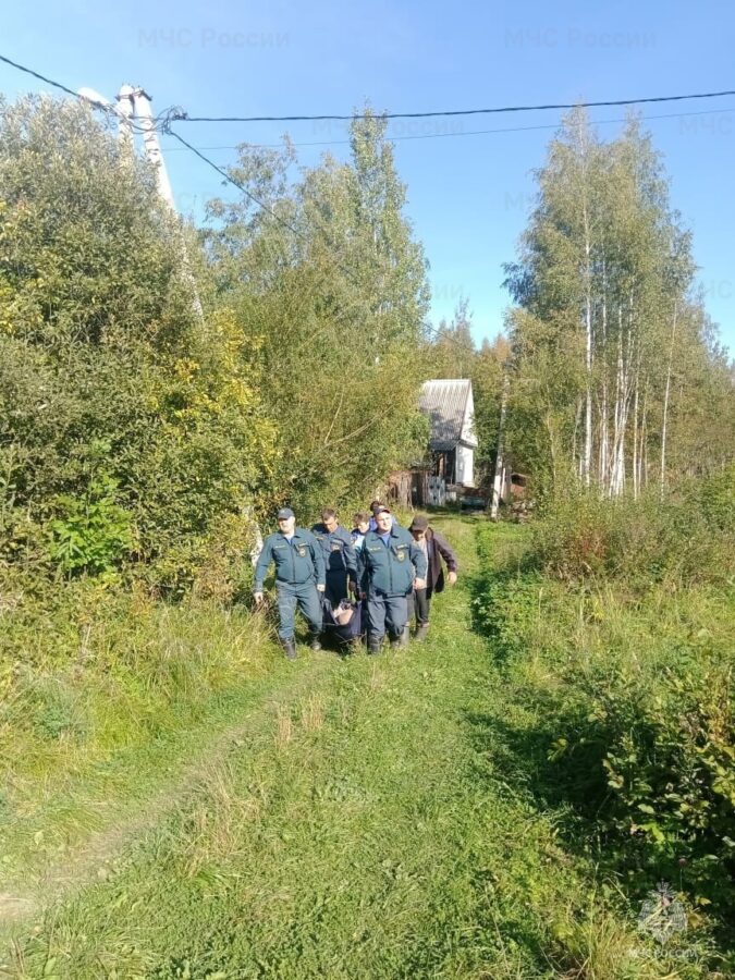 Итоги дня: что заинтересовало читателей «ТОП Тверь» 26 сентября