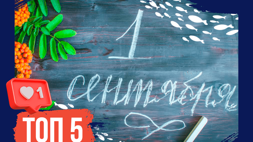 День знаний: ТОП-5 учреждений, открывшихся в Тверской области 1 сентября