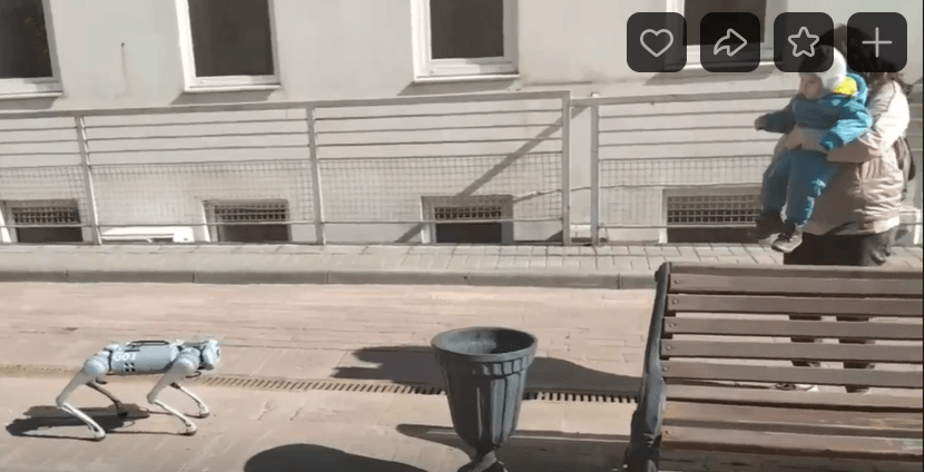 По Твери гуляет четвероногий робот  