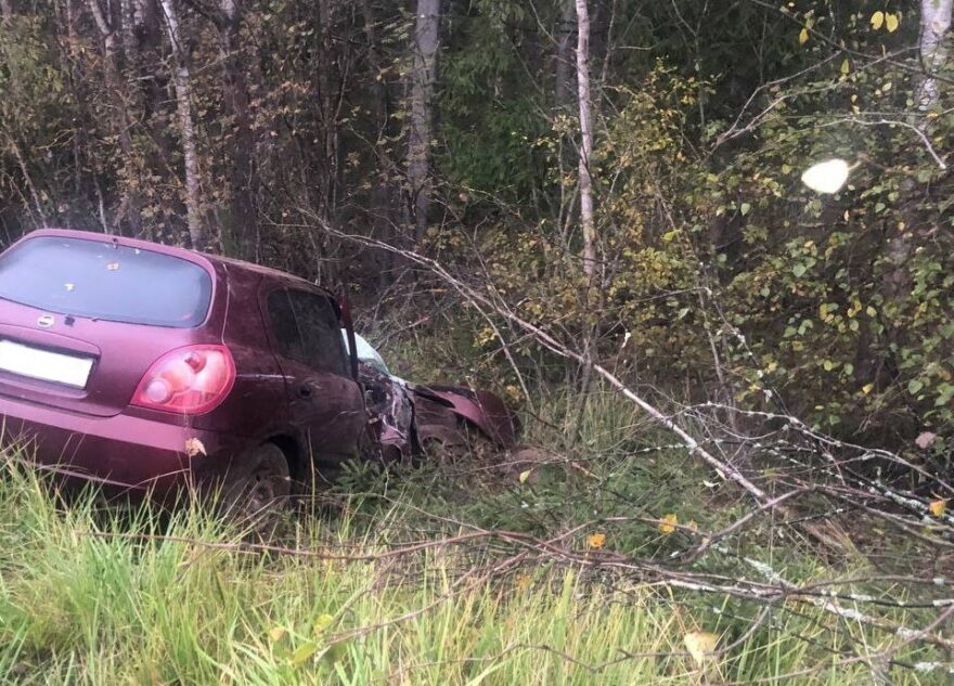 В Тверской области Nissan "вылетел" в кювет: есть пострадавший В Тверской области Nissan "вылетел" в кювет: есть пострадавший