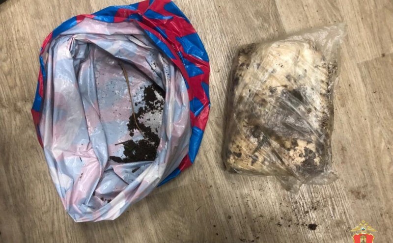 Порядка 1 килограмма запрещенного вещества нашли у задержанных в Твери молодых людей Порядка 1 килограмма запрещенного вещества нашли у задержанных в Твери молодых людей
