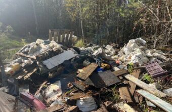 Лес под Тверью в очередной раз превратили в свалку Лес под Тверью в очередной раз превратили в свалку