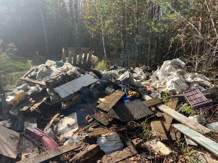 Лес под Тверью в очередной раз превратили в свалку