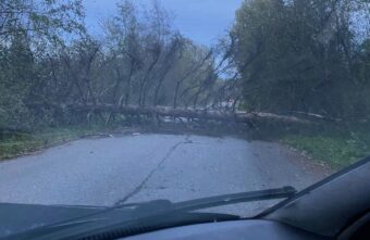 В Тверской области упавшее дерево перекрыло дорогу