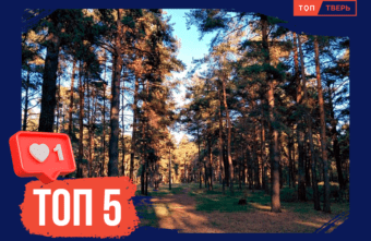 Очей очарованье: ТОП-5 зелёных зон для прогулок в Твери Очей очарованье: ТОП-5 зелёных зон для прогулок в Твери