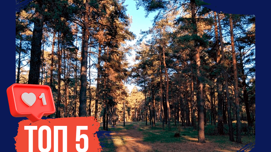 Очей очарованье: ТОП-5 зелёных зон для прогулок в Твери