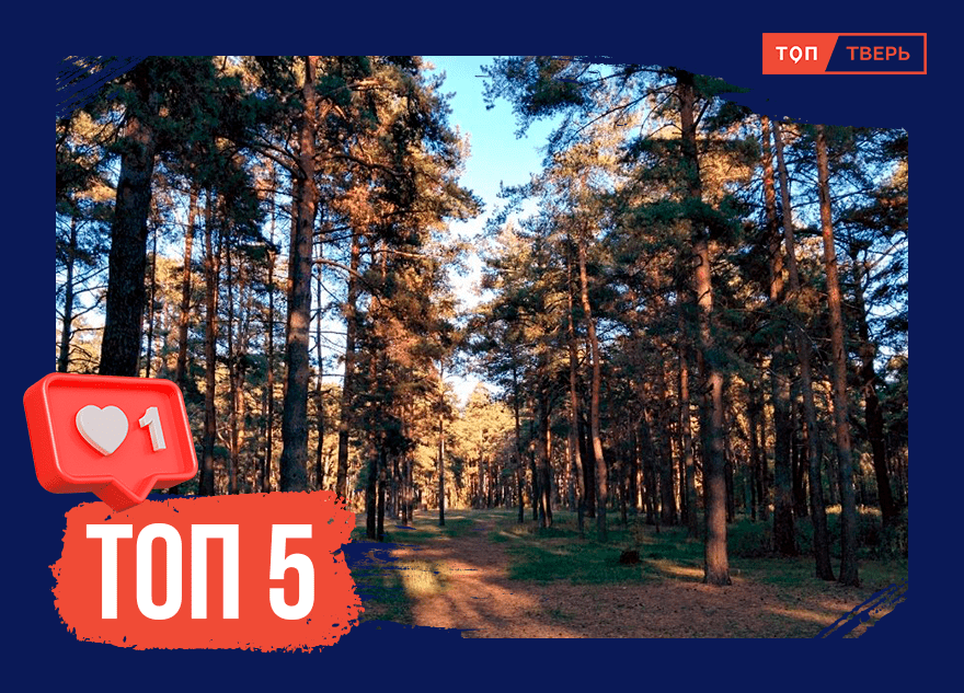 Очей очарованье: ТОП-5 зелёных зон для прогулок в Твери