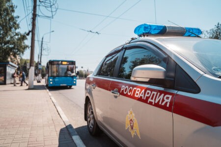 В Тверской области егерь нашёл в лесополосе ружьё и сдал его правоохранителям