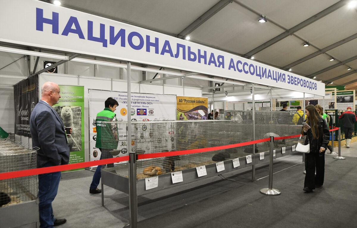 Тверская область представляет свои достижения на выставке «Золотая осень» в Москве