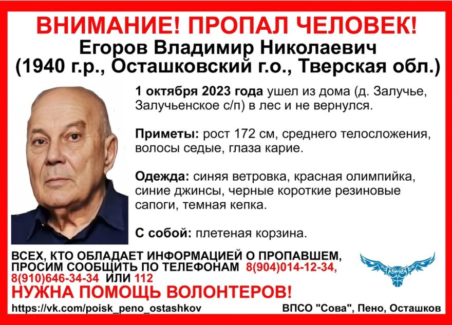 В Тверской области мужчина ушел в лес и не вернулся В Тверской области мужчина ушел в лес и не вернулся
