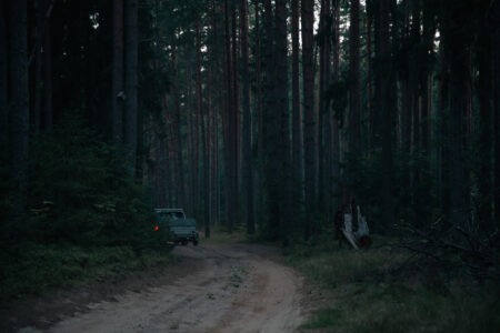 Двое жителей Тверской области незаконно спилили больше 70 деревьев на продажу Двое жителей Тверской области незаконно спилили больше 70 деревьев на продажу