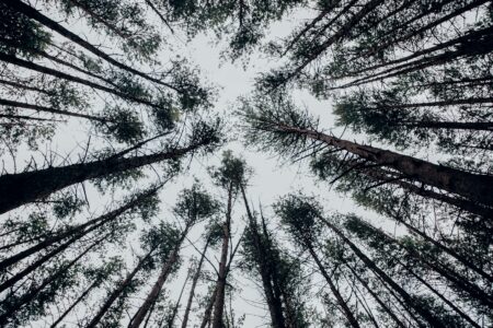 В Тверской области продолжается работа по сохранению природных территорий