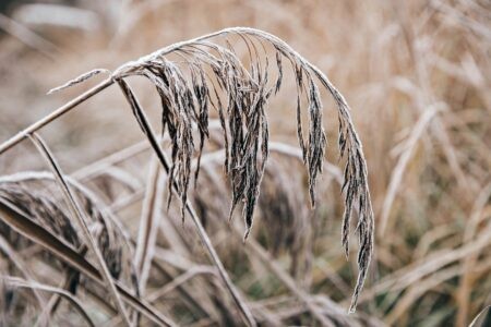 В Тверской области похолодает до -6