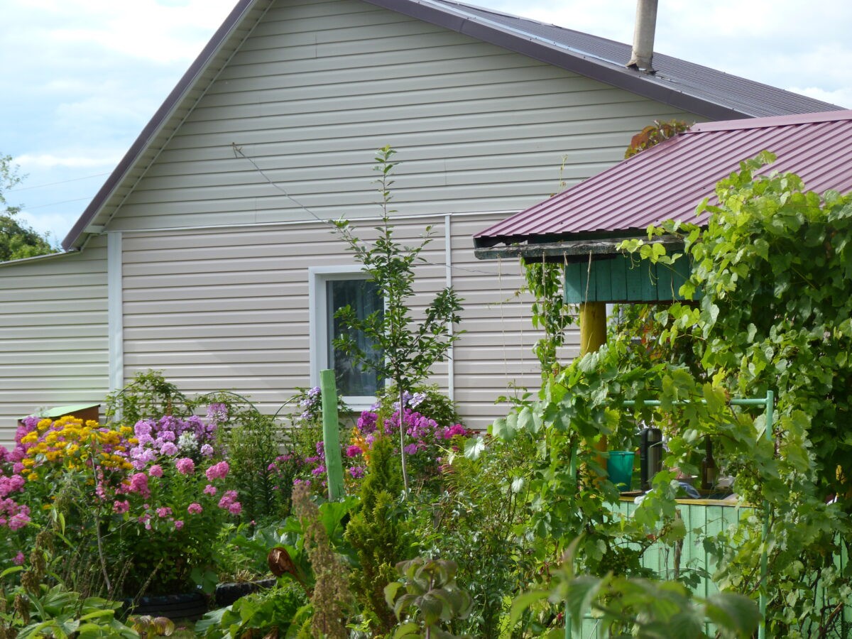 Дачникам рассказали, когда не нужно платить налог на бани и сараи
