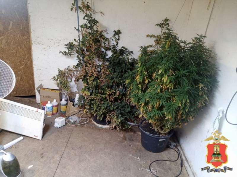 Порох и трава привели жителя Тверской области в руки полиции