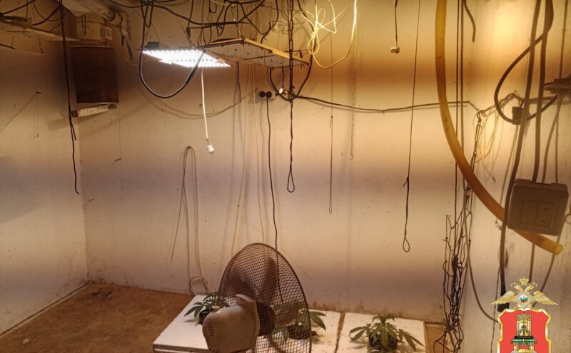 Порох и трава привели жителя Тверской области в руки полиции