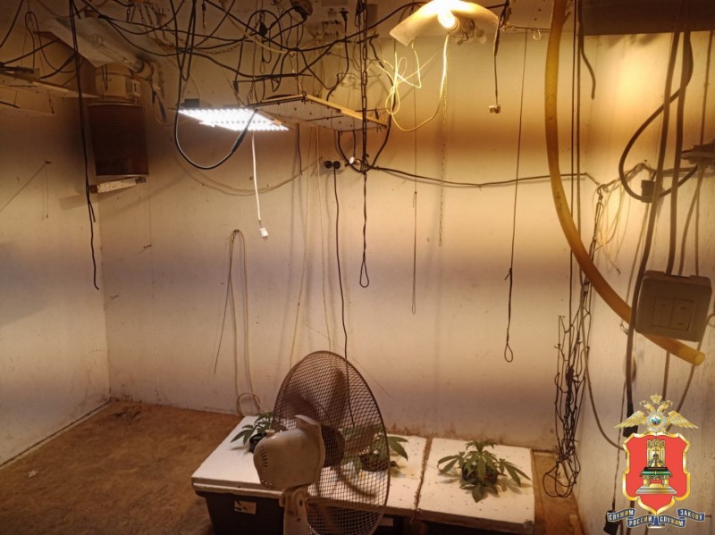 Порох и трава привели жителя Тверской области в руки полиции