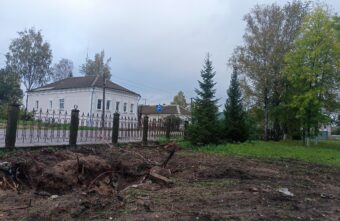 В Тверской области неизвестные украли ёлки в Горсаду В Тверской области неизвестные украли ёлки в Горсаду