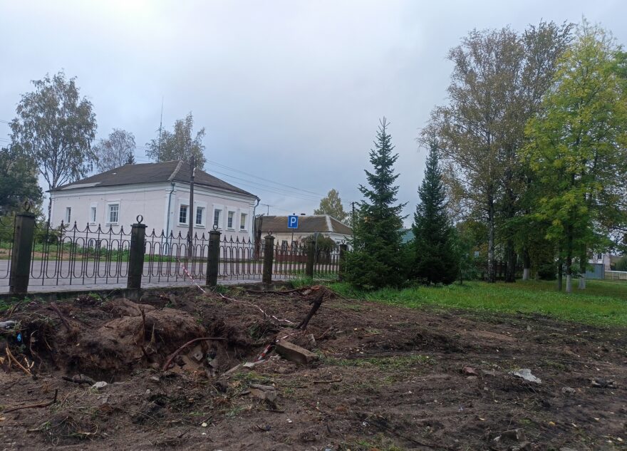 В Тверской области неизвестные украли ёлки в Горсаду