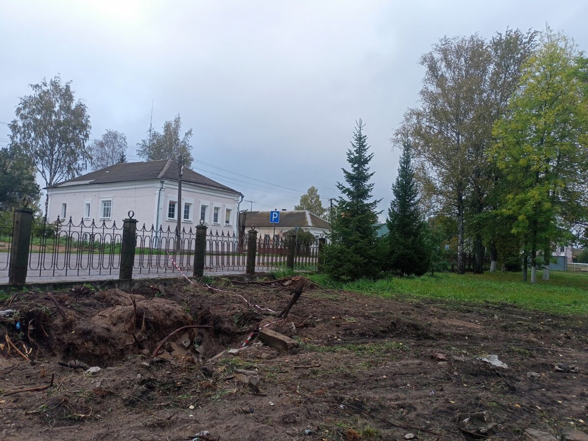 В Тверской области неизвестные украли ёлки в Горсаду