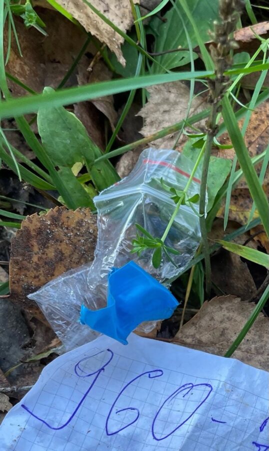 Жители деревни под Тверью жалуются на "закладчиков" в лесу