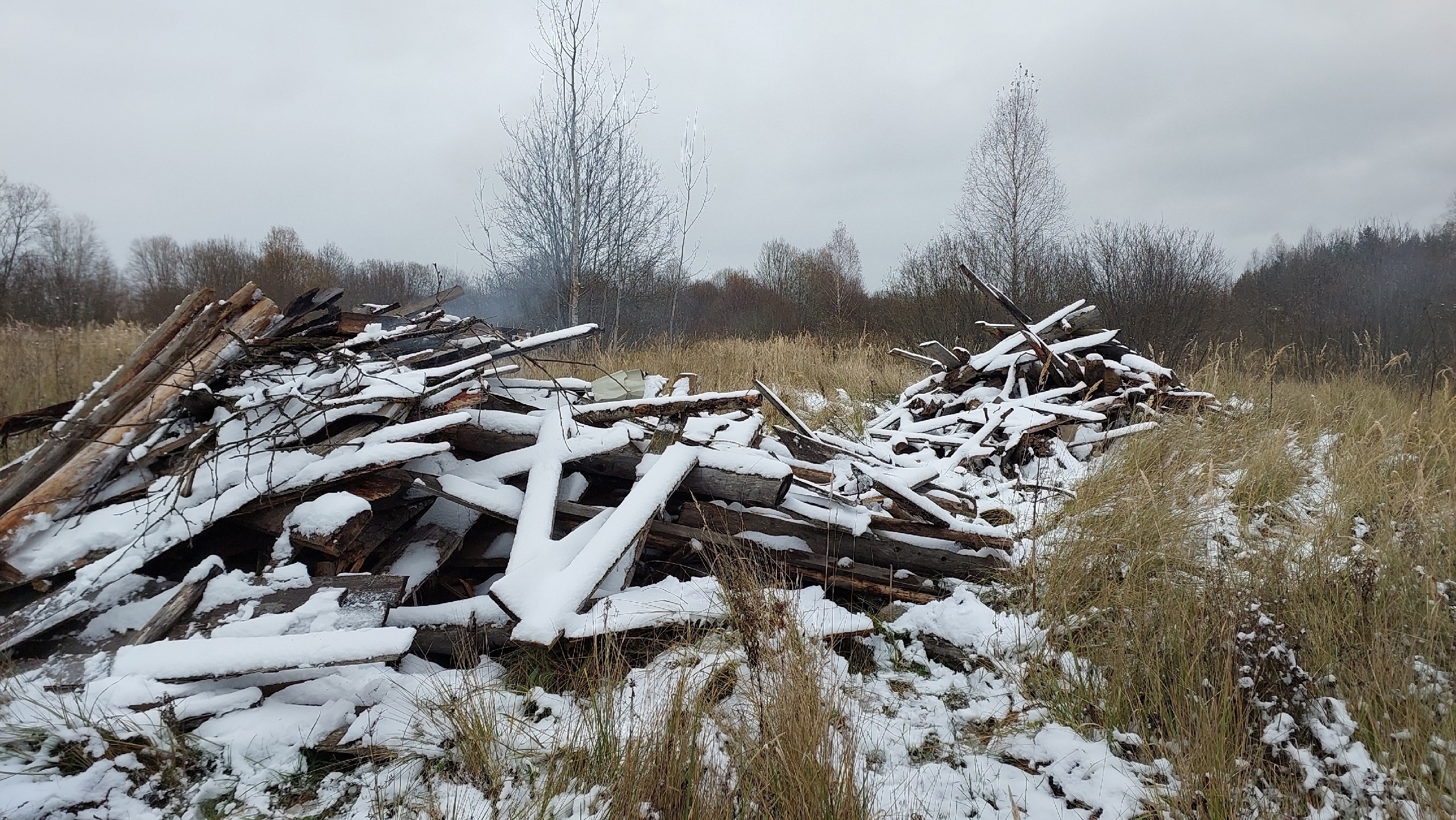 Жители Тверской области пожаловались на кучи гниющих досок у водоёма