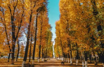 Геннадий Жданов: «Работа невролога похожа на детектив»