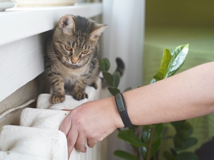 В Андреаполе начинается отопительный сезон