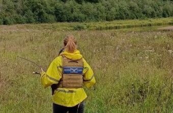 В Тверской области вторые сутки ищут заблудившегося пожилого грибника