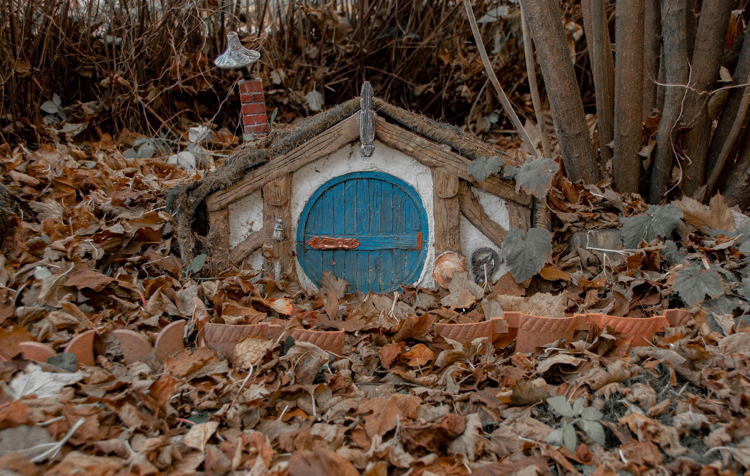 В тверском дворе нашли удивительные домики