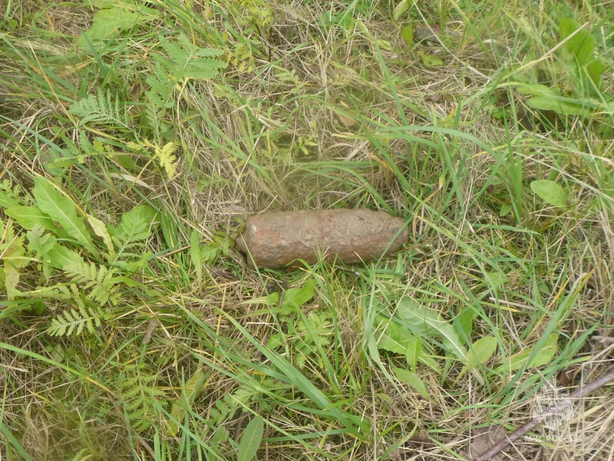 Миномётную мину и артиллерийский снаряд обезвредили в Тверской области