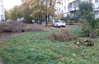 В Твери во дворе жилого дома гниют сухие ветки В Твери во дворе жилого дома гниют сухие ветки