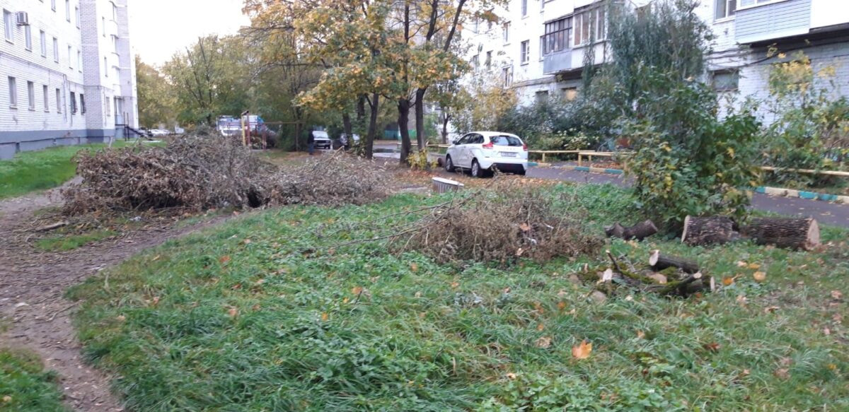 В Твери во дворе жилого дома гниют сухие ветки