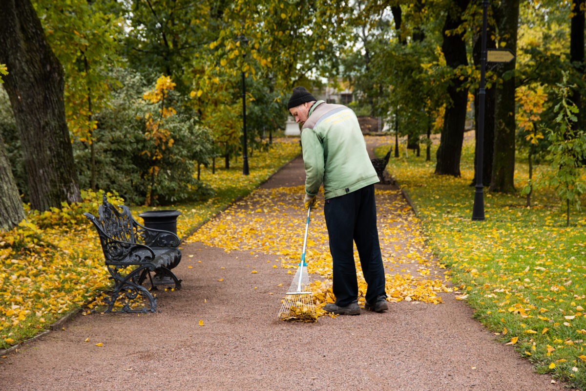 Жителям Тверской области рассказали, чем вредны для здоровья осенние листья