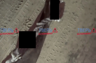 В деревне под Тверью нашли выброшенные останки оленёнка В деревне под Тверью нашли выброшенные останки оленёнка