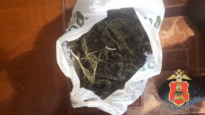 Килограмм каннабиса и конопли нашли у жителя Тверской области