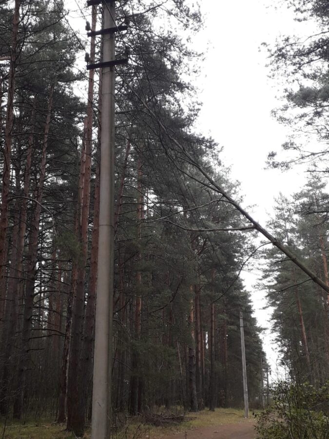 Под Тверью жители деревни остались без света из-за упавшего дерева Под Тверью жители деревни остались без света из-за упавшего дерева