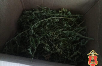 Порядка килограмма марихуаны нашли у жителя Тверской области Порядка килограмма марихуаны нашли у жителя Тверской области