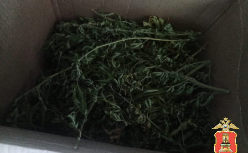 Порядка килограмма марихуаны нашли у жителя Тверской области
