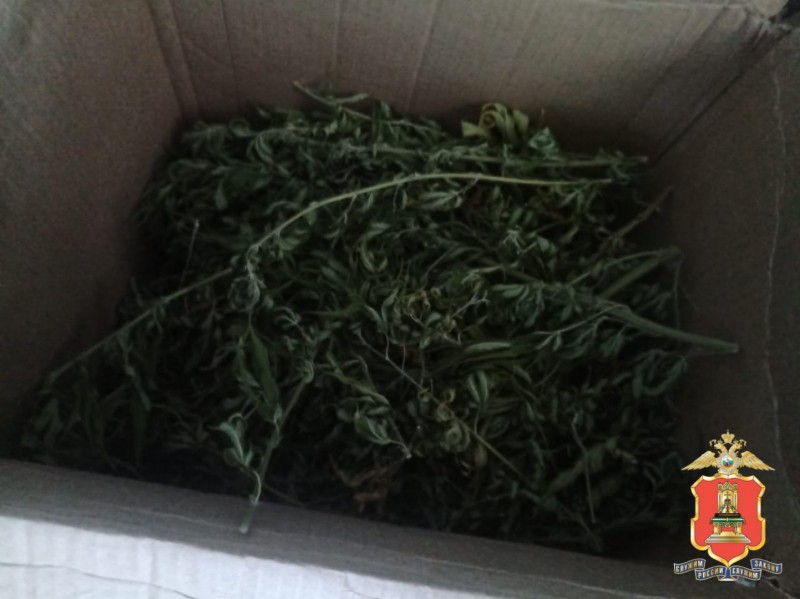 Порядка килограмма марихуаны нашли у жителя Тверской области Порядка килограмма марихуаны нашли у жителя Тверской области