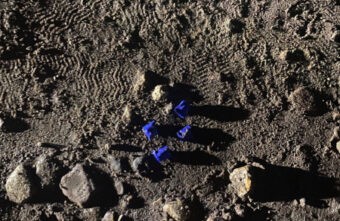 Полицейские задержали в Твери 32-летнюю наркосбытчицу Полицейские задержали в Твери 32-летнюю наркосбытчицу