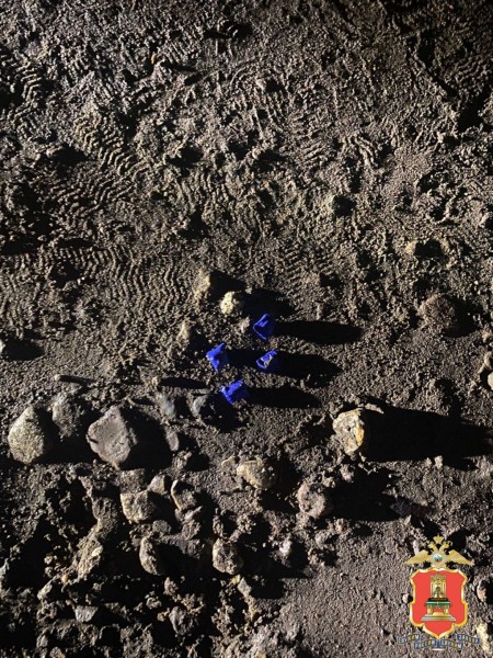 Полицейские задержали в Твери 32-летнюю наркосбытчицу