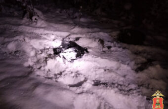 В Тверской области найдены останки туши лося с пулевыми отверстиями В Тверской области найдены останки туши лося с пулевыми отверстиями