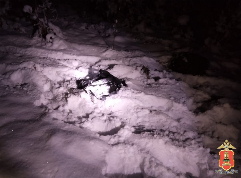 В Тверской области найдены останки туши лося с пулевыми отверстиями