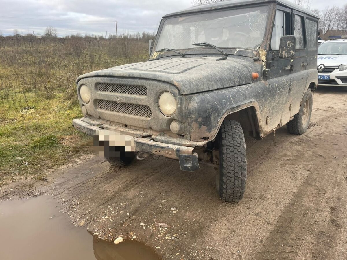 5-летний ребёнок выпал из машины в Тверской области