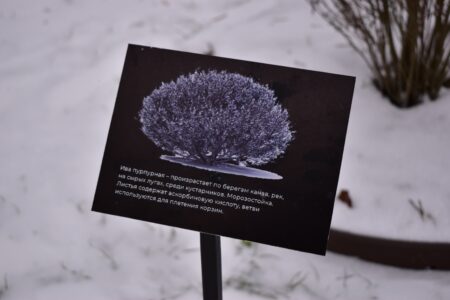 Небольшой дендропарк обустроили в Заволжском районе Твери