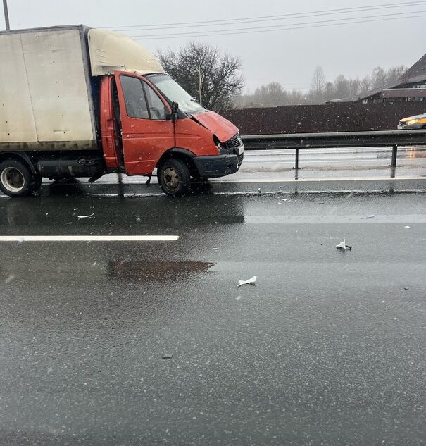 Под Тверью ГАЗель сбила женщину