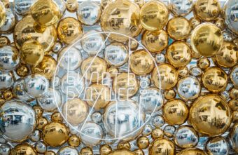 «Билет в будущее»: в Твери стартовал самый масштабный в регионе фестиваль профессий «Билет в будущее»: в Твери стартовал самый масштабный в регионе фестиваль профессий