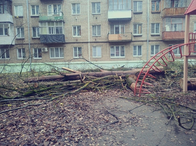 На детской площадке в Твери устроили «валежник»