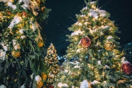 Опубликован прогноз погоды на Новый год в Тверской области